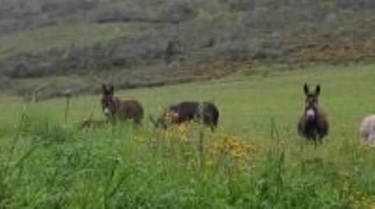 Val-du-Faby L'Or Du Tempsヴィラ エクステリア 写真